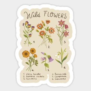 Wild flowers Sticker